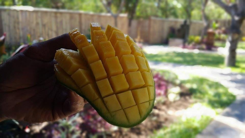 Gasthof Mango Tree Pemuteran