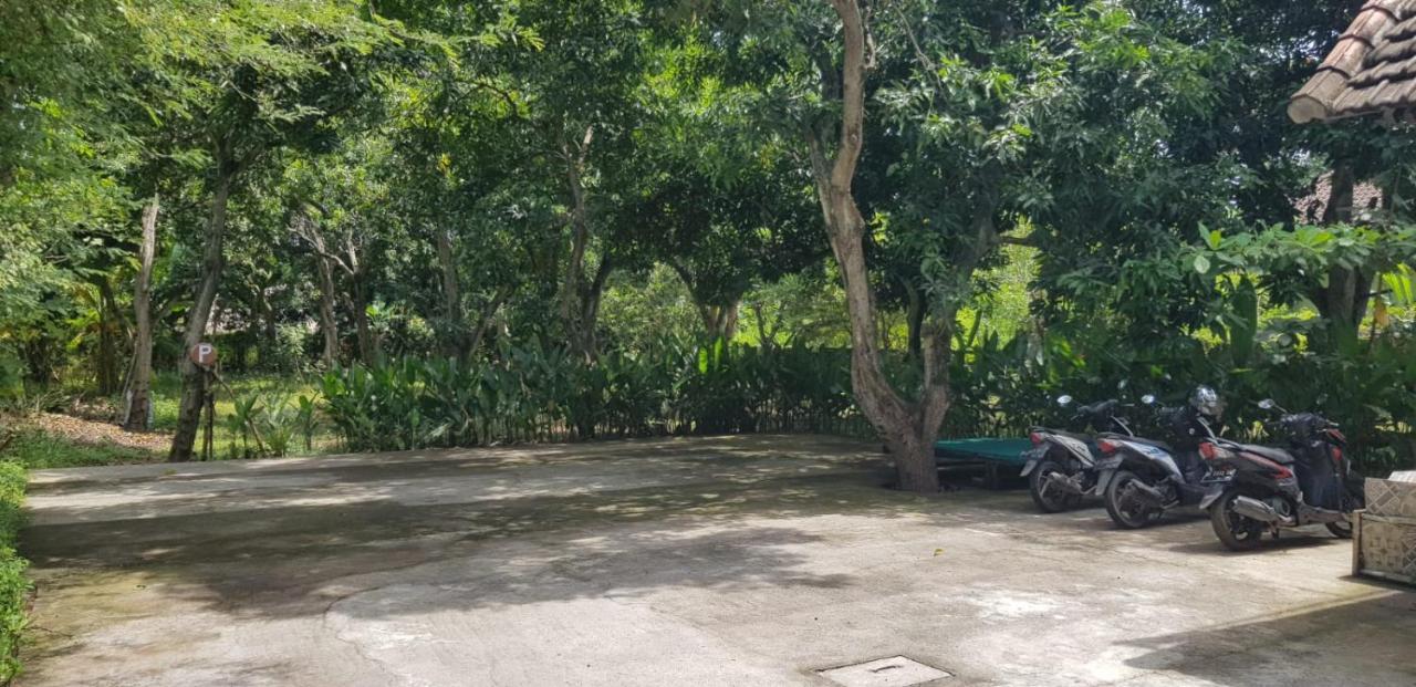 Mango Tree * Pemuteran